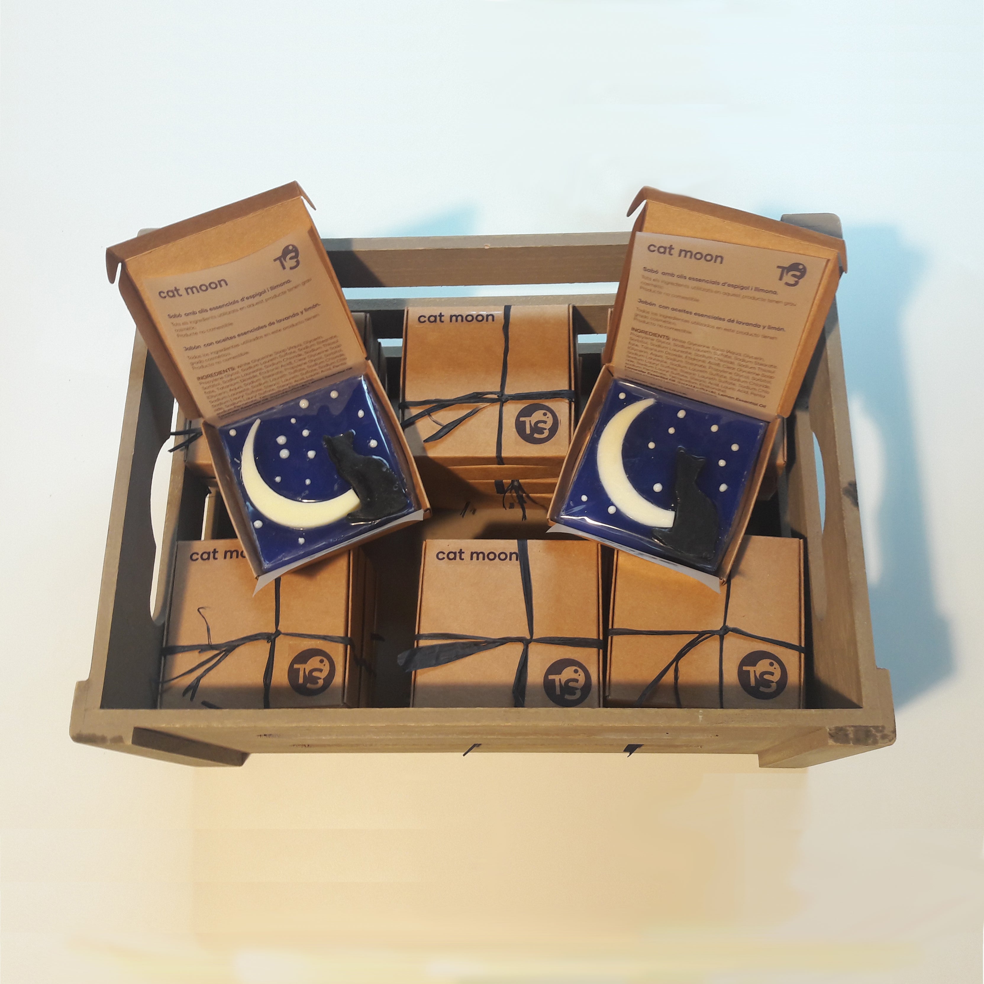Cat - Moon