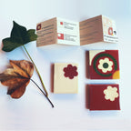 CONCÈNTRIC - Terracota - Pack