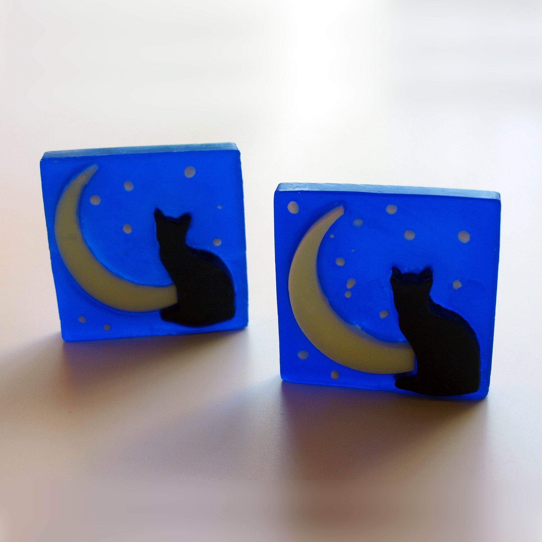Cat - Moon